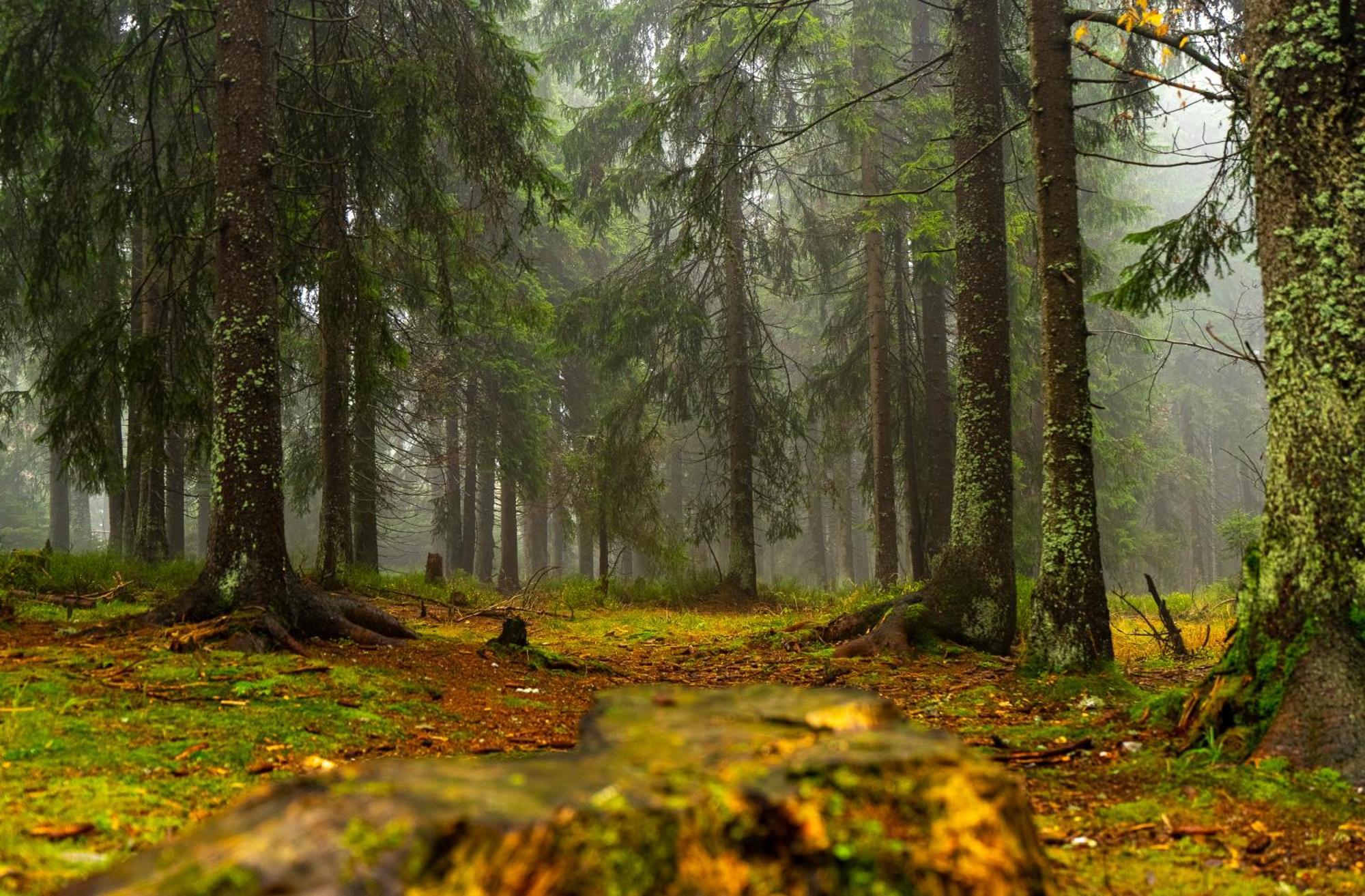 Horská chata Krakonoš Pec pod Sněžkou Exterior foto