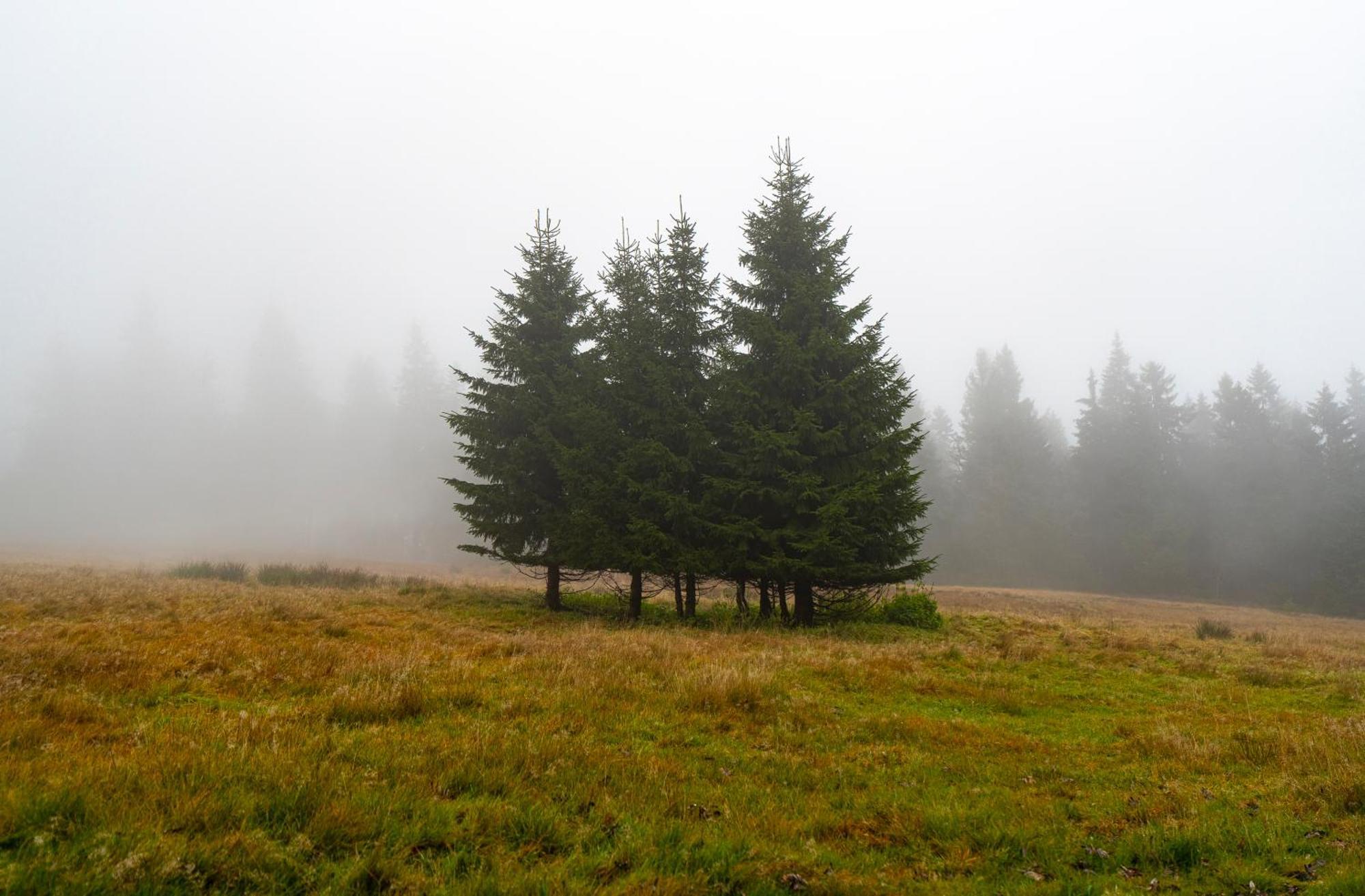 Horská chata Krakonoš Pec pod Sněžkou Exterior foto